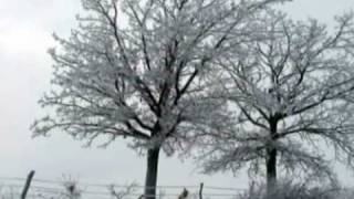 Radka Toneff - The Moon's a Harsh Mistress 嚴厲的月光夫人