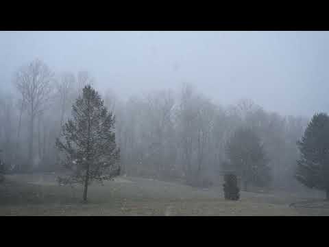 Feb. 19, 2022 snow squall