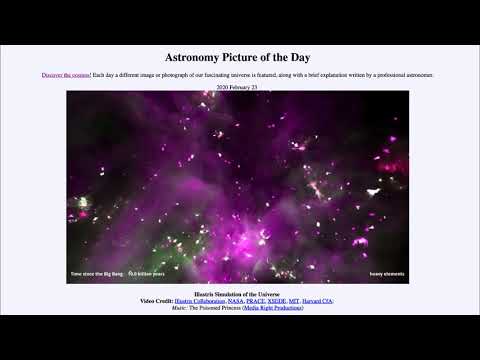 2020 February 23 - Illustris Simulation of the Universe
