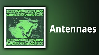 NOFX // Antennaes