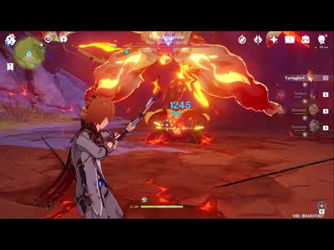 Genshin Impact - How much can Tartaglia (mine) deal