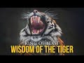 Wisdom Of The Tiger - Powerful Motivational Video