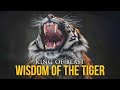 Wisdom Of The Tiger Powerful Motivational Video