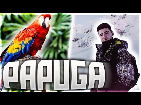 LutcheRr ft. Rembol - Papuga [Remix]