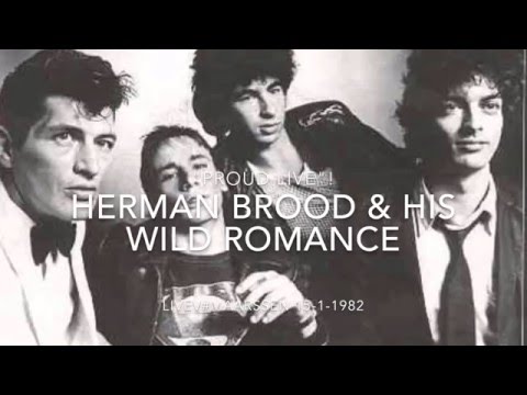 Herman Brood & his Wild Romance - (MAARSSEN 15-1-1982) 
