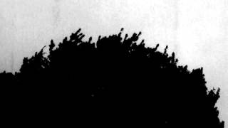 Neko Case - Where Did I Leave That Fire