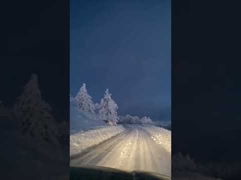 A Snowy Night Drive