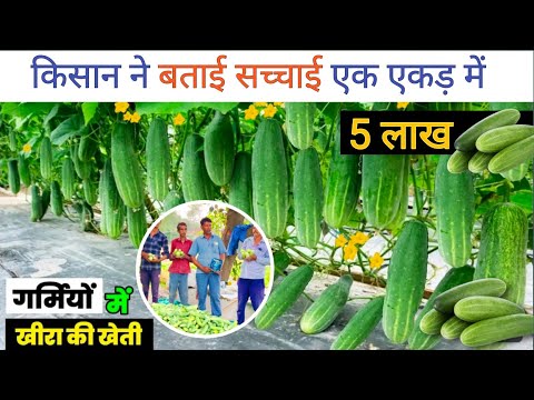 Liquid Powergib Gibberellic Acid, Bottle, 1 L