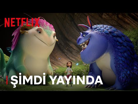 Şimdi Yayında