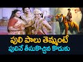 పులి పాలు తెమ్మంటే పులినే తీసుకొచ్చి