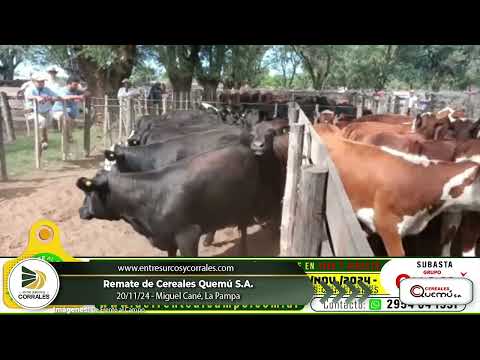20-11-24 - Remate de Cereales Quemú - Miguel Cané, La Pampa