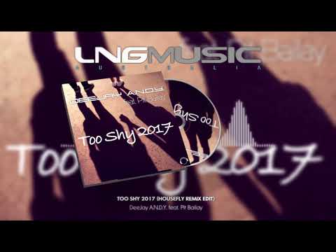DeeJay A.N.D.Y. feat. Pit Bailay - Too Shy 2017 (Housefly Remix Edit)