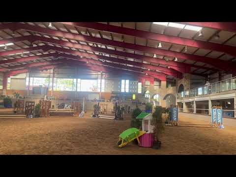 122cms pony - Image 2