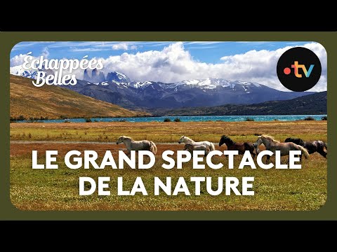 Patagonie, le grand spectacle de la nature - Échappées belles