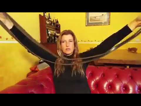 Uso di collari e guinzagli