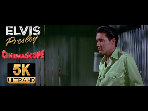 Elvis Presley AI 5K Restored - My Boy "Fake Story" From: Girl Happy 1965