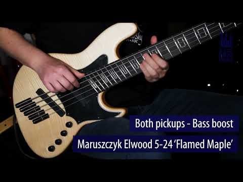 Maruszczyk Elwood L5A-24 Multiscale Live Demo - BassFreaks.net