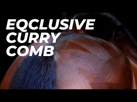 Eqclusive Curry comb for horses and dogs