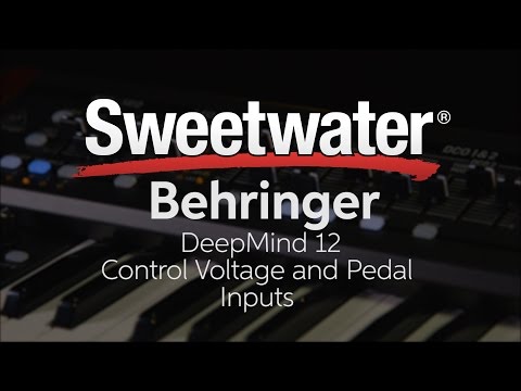 Behringer DeepMind 12 Control Voltage and Pedal Inputs — Daniel Fisher