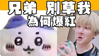 [問卦] 看chiikawa很開心怎麼辦