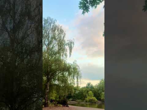 #tahajjud is the power of mumin 🤍 #peace #motivation