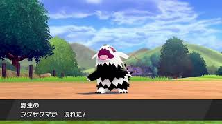 ジグザグマの場所 ポケモン  シールド