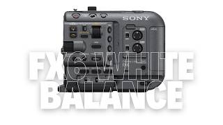How to White Balance the Sony FX6