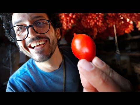 , title : 'This Italian Tomato is the GOAT (Piennolo del Vesuvio)'
