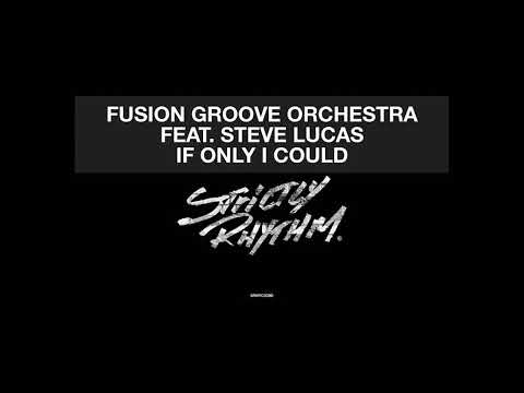 Fusion Groove Orchestra ● If Only I Could (Feat. Steve Lucas) [HQ]