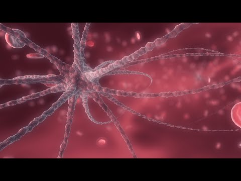 YOOKiE & Abrax Phaeton - PHiRE  [BASS BOOSTED]