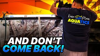 The Black Beard Algae Kill Method - (Safe For Fish)