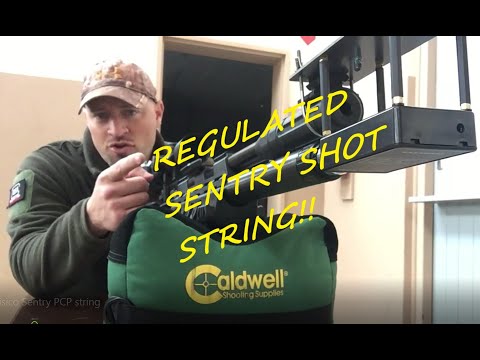 Xisico Sentry PCP regulated shot string