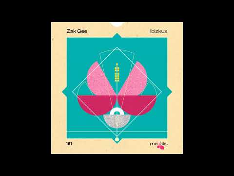 Zak Gee - Moon in a Bottle (Original Mix)