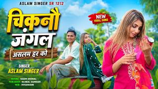 SR 1212 Aslam Singer Mewati ( चिकनौ जंगल असलम हर को ) New 4k Video// Aslam Singer New Latest Song