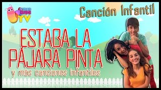 ♫♪ LA PÁJARA PINTA ♫♪ canción completa con baile