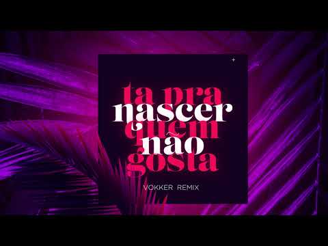 Seakret, Ricci, Rael - Tá Pra Nascer Quem Não Gosta(Vokker Remix)