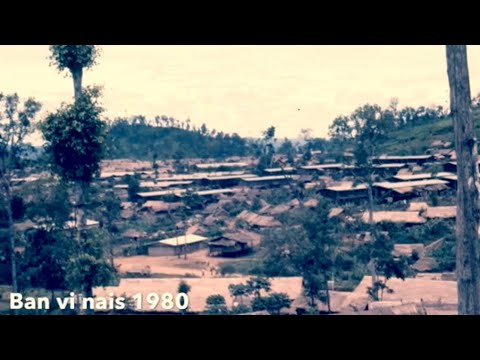 Rov Mus Txog Vib Nais