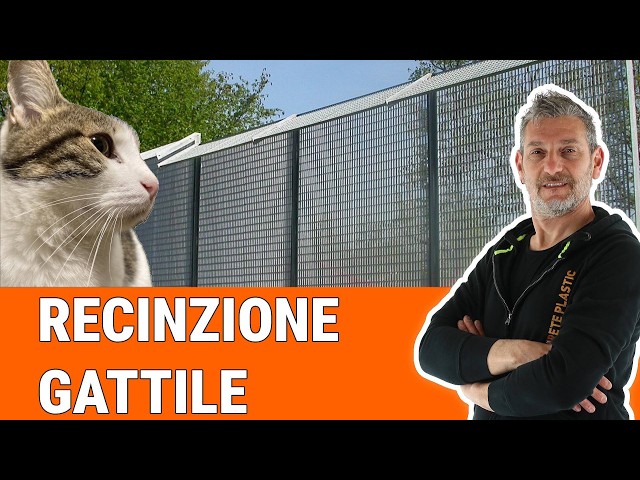 Realizzazione della recinzione del Gattile Comunale di Torino