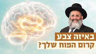 באיזה צבע קרום המוח שלך? | רגע של אור עם מו"ר הרב ישראל אברג'ל שליט"א