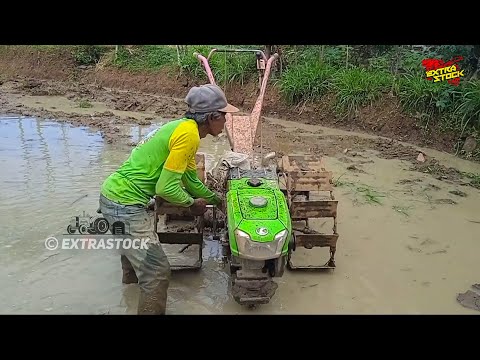 Di Usia Tua Simbah Masih Bersemangat Membajak Sawah Dengan Traktor Sawah Mini