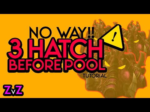 ZVZ: 3 Hatch before pool!!