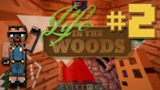 preview picture of video '[ITA] Minecraft Life in the Woods ep. 2, il Villaggio dei Miracoli!'
