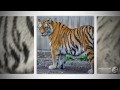 Enjoy Wildlife 360p W6p2782dkp