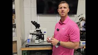 Olympus BX41 Microscope Setup: Add Polarizer, Analyzer, and Gout Analyzer