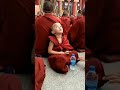 I spotted a cute little Buddhist Monk⚜️.#buddha #buddhism #trending #food #india #nepal #shortsviral