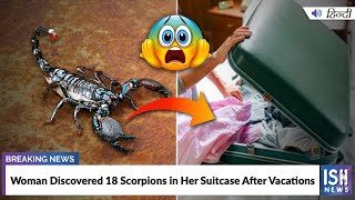 Woman Discovered 18 Scorpions in Her Suitcase After Vacations