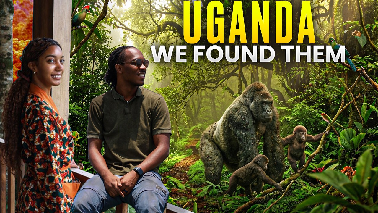 Face to Face With Mountain Gorillas in Uganda | Bwindi Impenetrable Forest