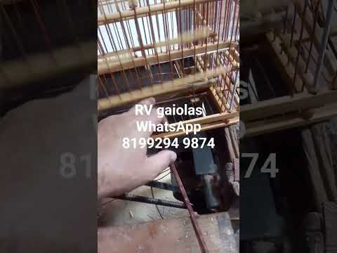 pegadeira média para a cidade de Inhuma no Piauí