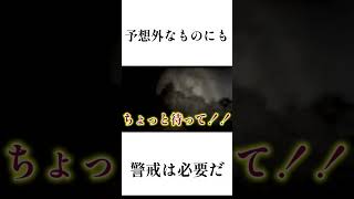 夜間警備する時の雑学#ゲーム実況