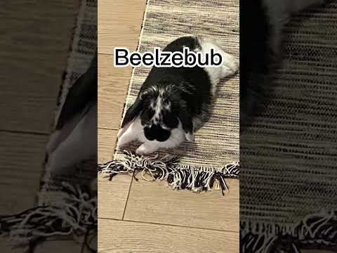 Belial. Behemoth. Beelzebub.